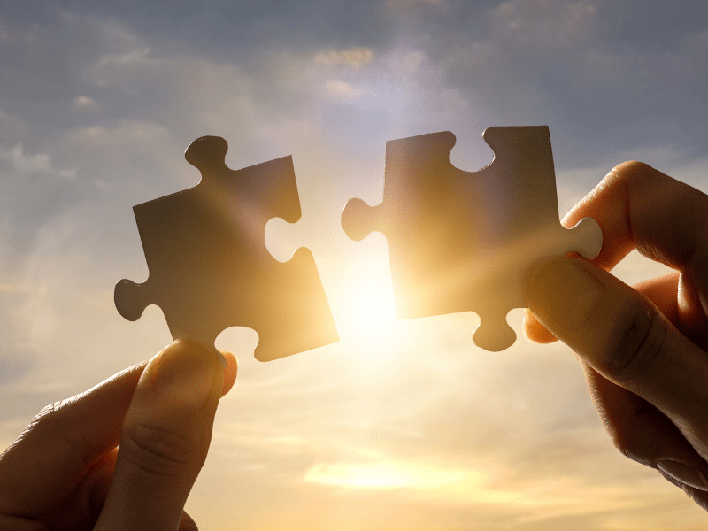 Puzzle pieces for Florida Scholarship Programs Overview differences